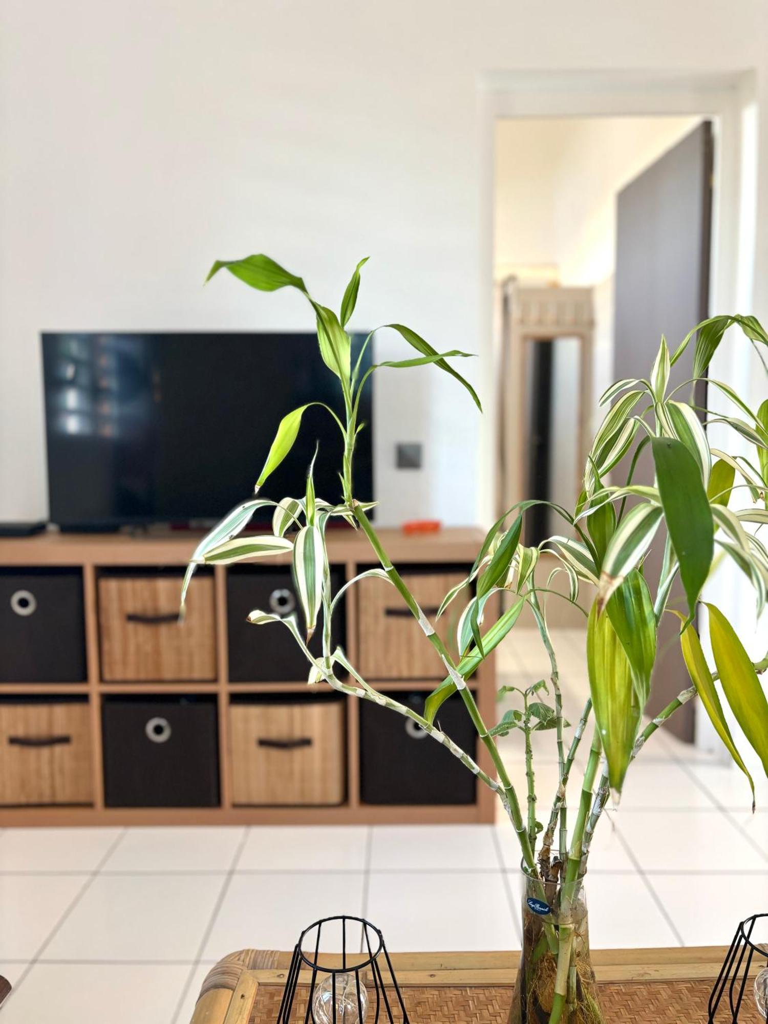 Le Gite Ohana - Proches Des Plages Et Jardin Prive Saint-Francois  Ngoại thất bức ảnh